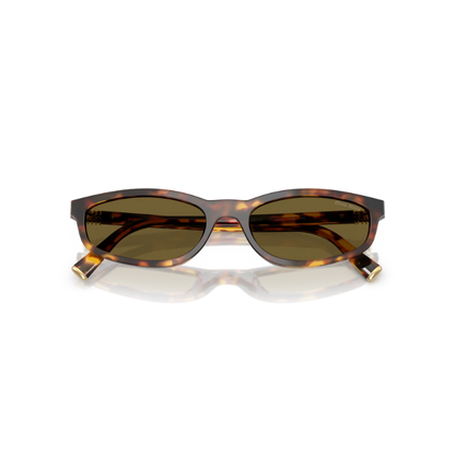 Miu Sunglasses